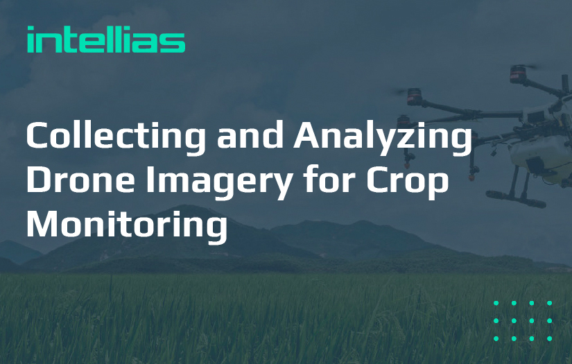 Collecting and Analyzing Drone Imagery for Crop Monitoring screenshot 1